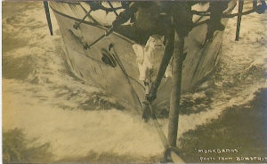 Monkbarns' flying horse figurehead - built to advertise Corsars' sailcloth