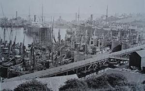 Fishing fleet laid up Milford Haven 1921